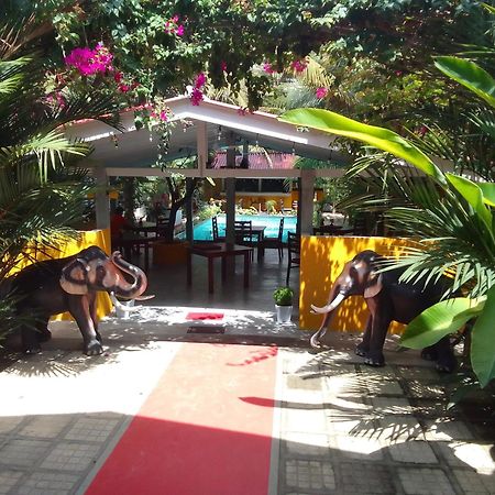 Hotel La Perla Bentota Exteriér fotografie