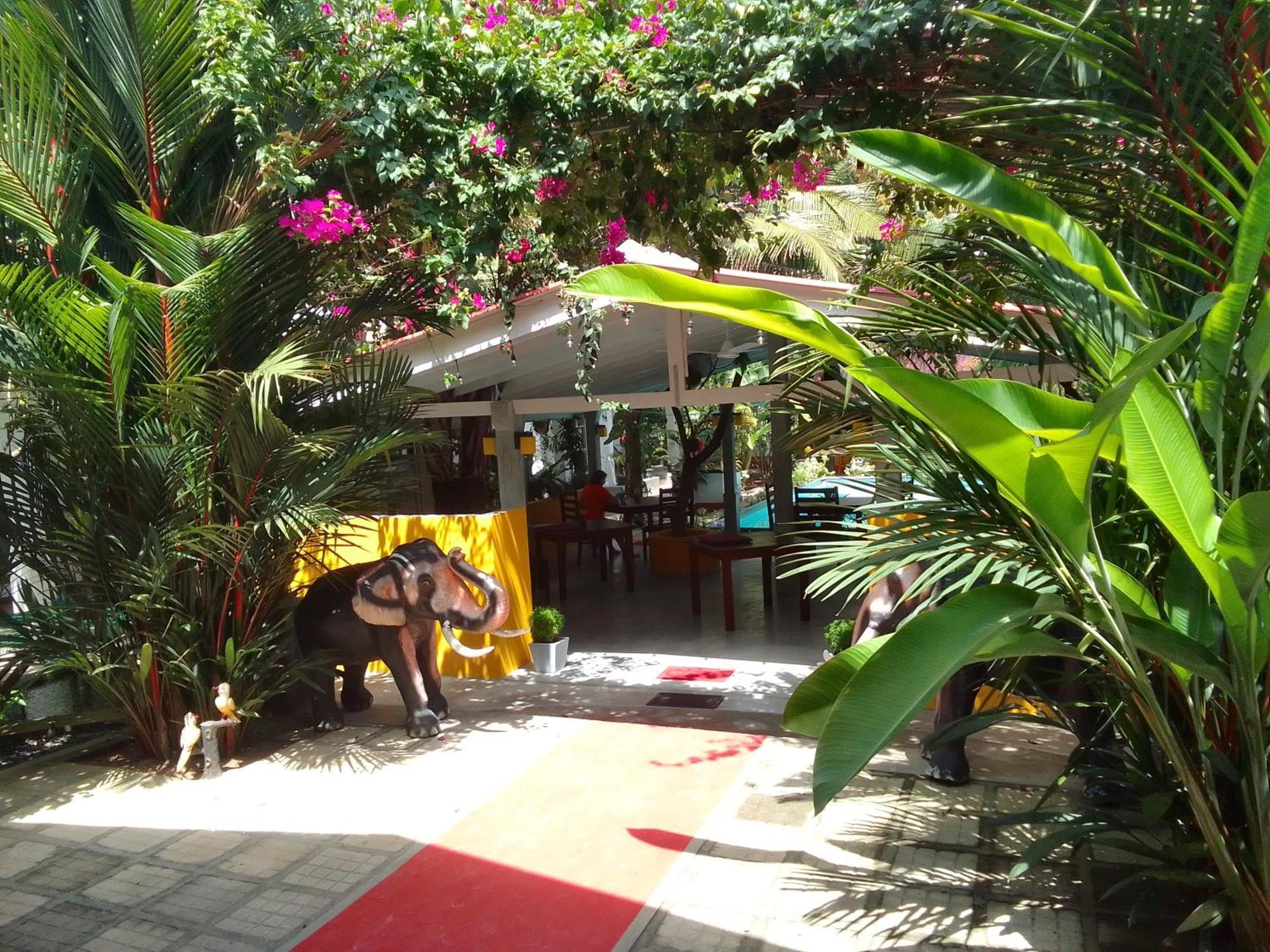 Hotel La Perla Bentota Exteriér fotografie
