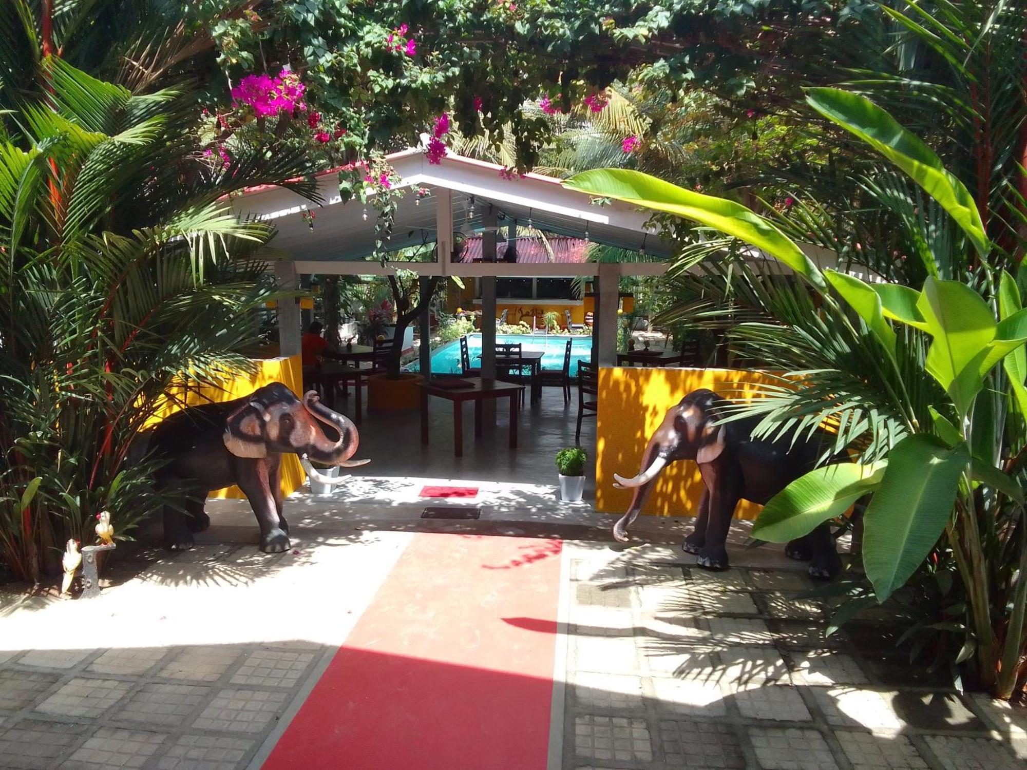 Hotel La Perla Bentota Exteriér fotografie